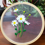 DAISIES