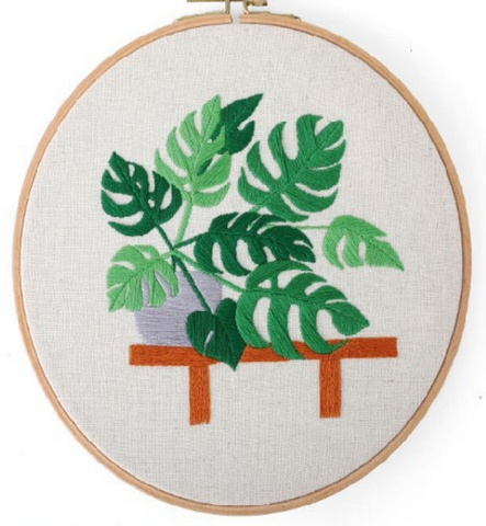 MONSTERA