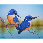 Two Azure Kingfishers Kit