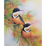 Eastern Spinebills Kit