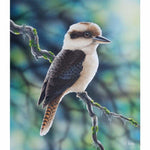 Kookaburra Backlit Kit