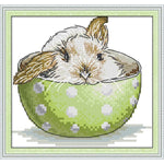 A rabbit in a teacup