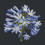 Agapanthus - NEEDLEWORK KITS