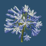 Agapanthus - NEEDLEWORK KITS