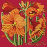 Amaryllis - NEEDLEWORK KITS