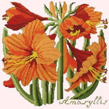 Amaryllis - NEEDLEWORK KITS