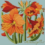 Amaryllis - NEEDLEWORK KITS