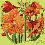 Amaryllis - NEEDLEWORK KITS