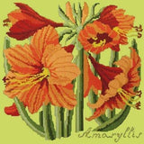 Amaryllis - NEEDLEWORK KITS