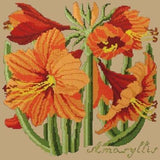 Amaryllis - NEEDLEWORK KITS