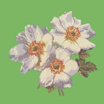 Anemones - NEEDLEWORK KITS