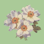 Anemones - NEEDLEWORK KITS