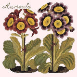 Auricula - NEEDLEWORK KITS