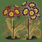 Auricula - NEEDLEWORK KITS