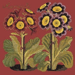 Auricula - NEEDLEWORK KITS