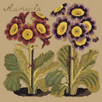 Auricula - NEEDLEWORK KITS