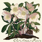 Christmas Rose - NEEDLEWORK KITS