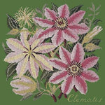 Clematis - NEEDLEWORK KITS