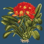 Clivia - NEEDLEWORK KITS