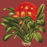 Clivia - NEEDLEWORK KITS