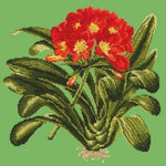 Clivia - NEEDLEWORK KITS