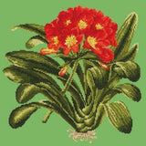 Clivia - NEEDLEWORK KITS