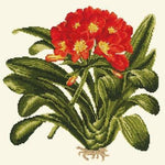 Clivia - NEEDLEWORK KITS