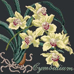 Cymbidium (Boat Orchid) - NEEDLEWORK KITS