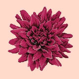 Dahlia - NEEDLEWORK KITS