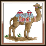 Dress up the camels