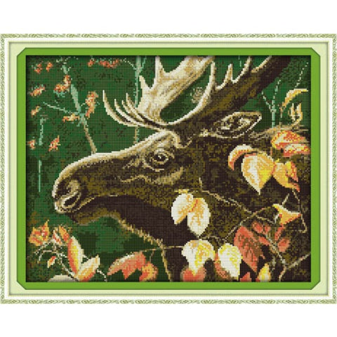 Elk