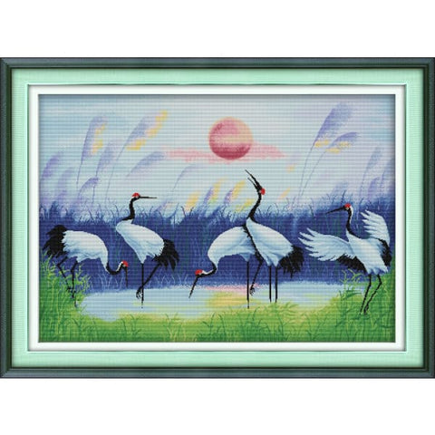 Five cranes picture