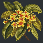 Frangipani - NEEDLEWORK KITS