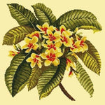 Frangipani - NEEDLEWORK KITS