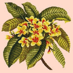 Frangipani - NEEDLEWORK KITS