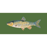 Freshwater Chub - NEEDLEWORK KITS