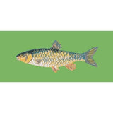 Freshwater Chub - NEEDLEWORK KITS