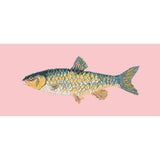 Freshwater Chub - NEEDLEWORK KITS