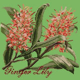 Ginger Lily - NEEDLEWORK KITS