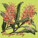 Ginger Lily - NEEDLEWORK KITS