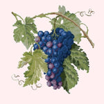 Grapes - NEEDLEWORK KITS