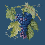 Grapes - NEEDLEWORK KITS