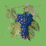 Grapes - NEEDLEWORK KITS