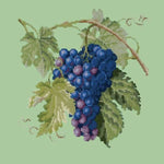 Grapes - NEEDLEWORK KITS