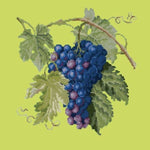 Grapes - NEEDLEWORK KITS