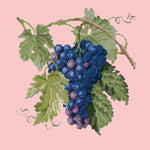 Grapes - NEEDLEWORK KITS