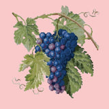 Grapes - NEEDLEWORK KITS