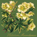 Hellebore Moondance - NEEDLEWORK KITS