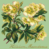 Hellebore Moondance - NEEDLEWORK KITS