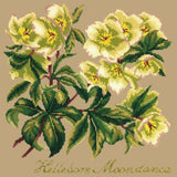 Hellebore Moondance - NEEDLEWORK KITS